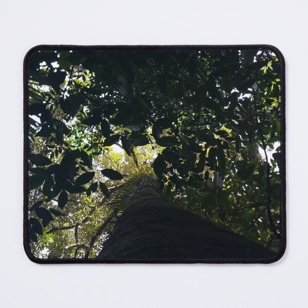 Item preview, View of Trees on the mountain from a low angle. designed and sold by Yusuf-Design.