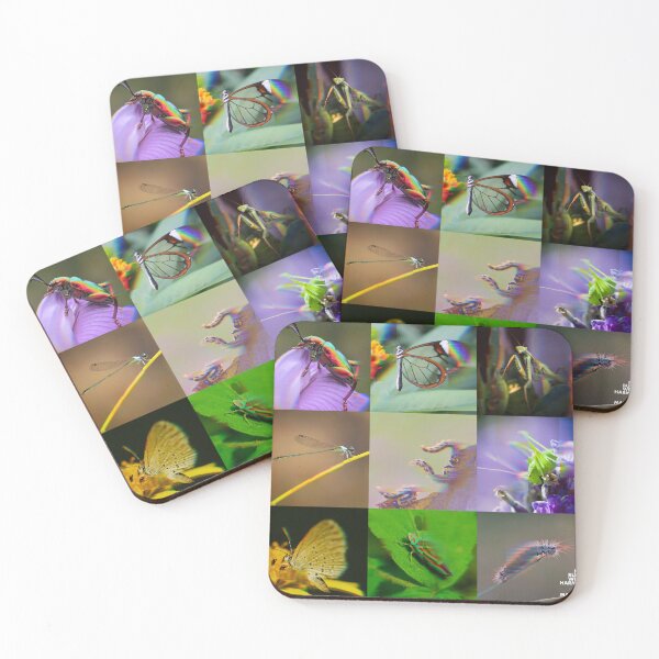 Item preview, Glitchcore Bugs – Nature Meets Digital Chaos designed and sold by We-Open-Minds.