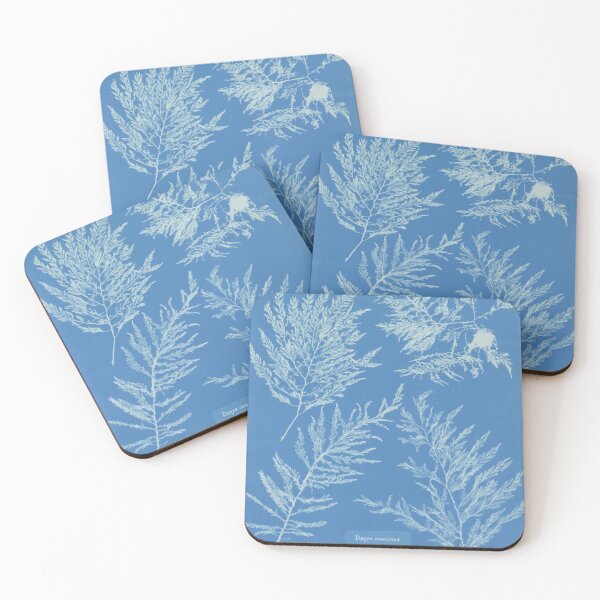 Item preview, Seaweeds designed and sold by 19th Century in Color.