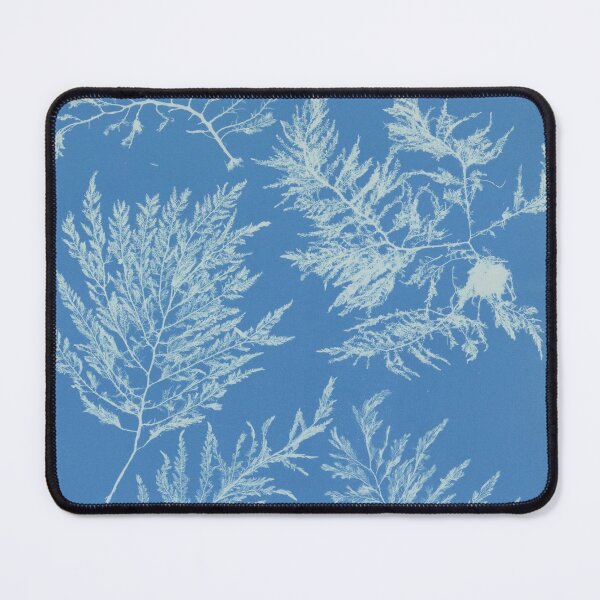 Item preview, Seaweeds designed and sold by 19th Century in Color.