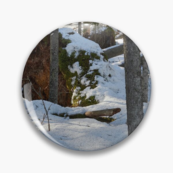 Item preview, Fallen spruce.. Seitseminen Multiharju designed and sold by Jouko Lehto Photography.