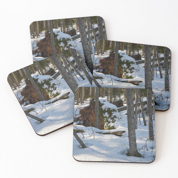 Item preview, Fallen spruce.. Seitseminen Multiharju designed and sold by Jouko Lehto Photography.