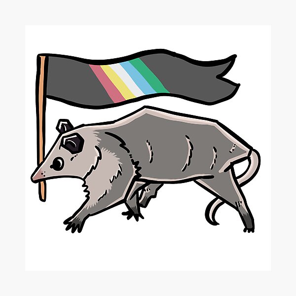 Item preview, disability pride flag possum designed and sold by heyimleo.