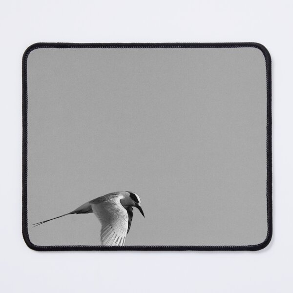 Item preview, Flying Tern Black And White designed and sold by MercerImages.