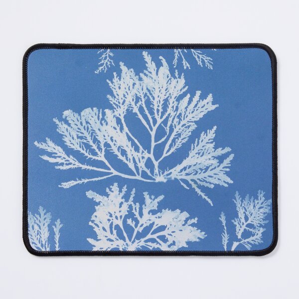 Item preview, Laurencia pinnatifida designed and sold by 19th Century in Color.