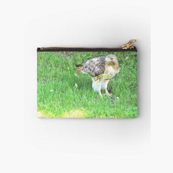 Item preview, Red Tailed Hawk Snacking designed and sold by CreatorsBeauty.