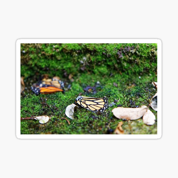 Things fall apart but a frozen splendor remains Sticker