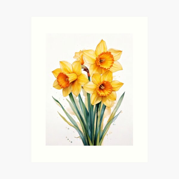 Vista previa del artículo con la obra «Narcisos amarillos en acuarela, flores de primavera, acuarela floral», diseñado y vendido por linesnshapes.