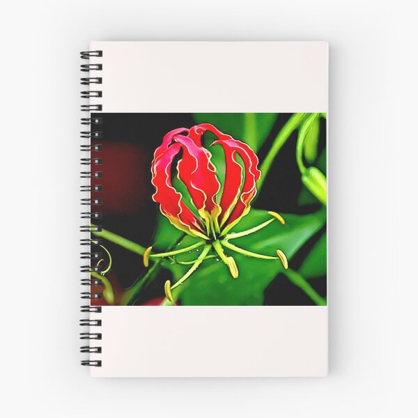 Item preview, Gloriosa Superba flame lily designed and sold by Helios Be. Lavsh.