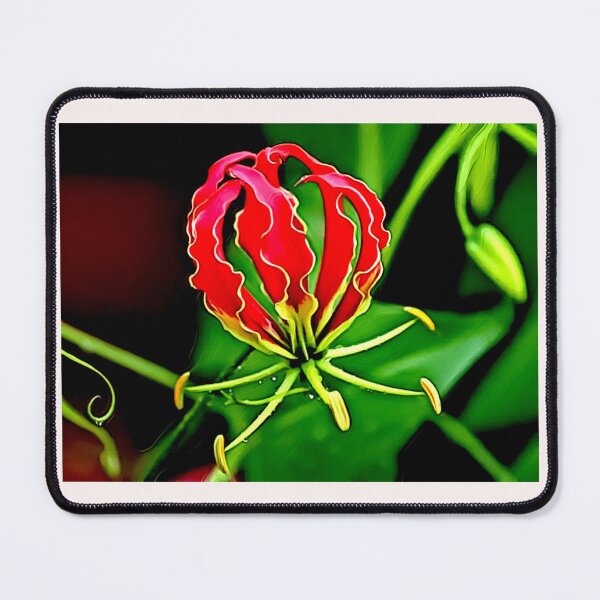 Item preview, Gloriosa Superba flame lily designed and sold by Helios Be. Lavsh.