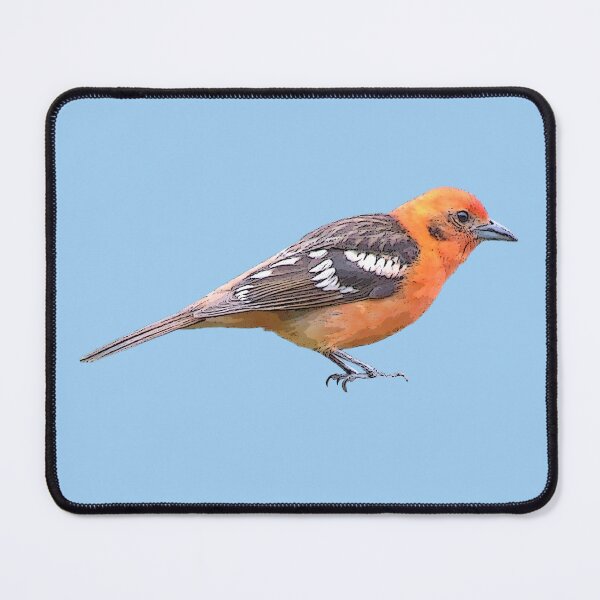 Item preview, Flame-colored Tanager Color Design designed and sold by designsasstultd.
