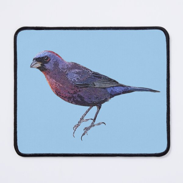 Item preview, Varied Bunting Color Design  designed and sold by designsasstultd.
