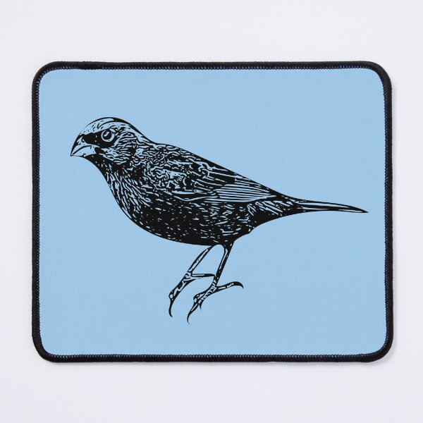 Item preview, Varied Bunting Black Design  designed and sold by designsasstultd.