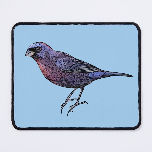 Item preview, Varied Bunting Black Alternate Design  designed and sold by designsasstultd.