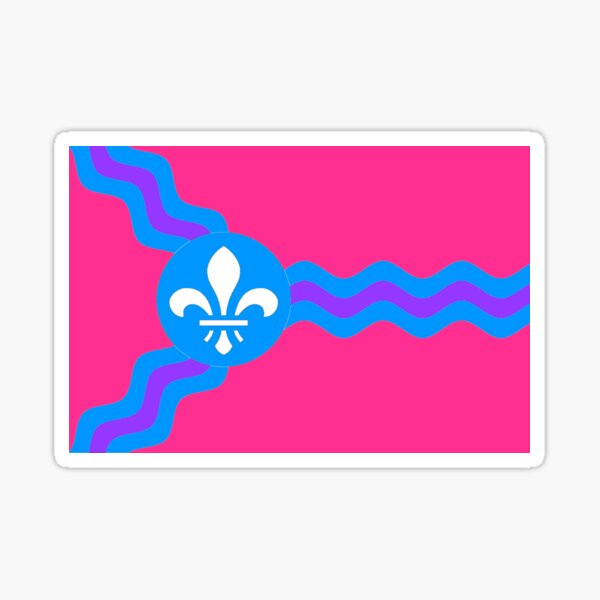 Printify St Louis Missouri City Flag Gray / 2x