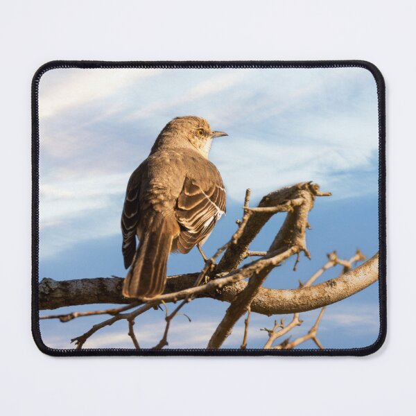 Item preview, Zeroed In On Something designed and sold by Debra Martz.