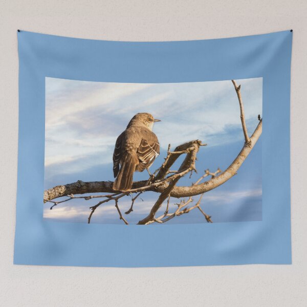 Item preview, Zeroed In On Something designed and sold by Debra Martz.