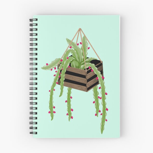 Item preview, A green cactus in a hanging basket, with small pink fruits designed and sold by katecheerycake.
