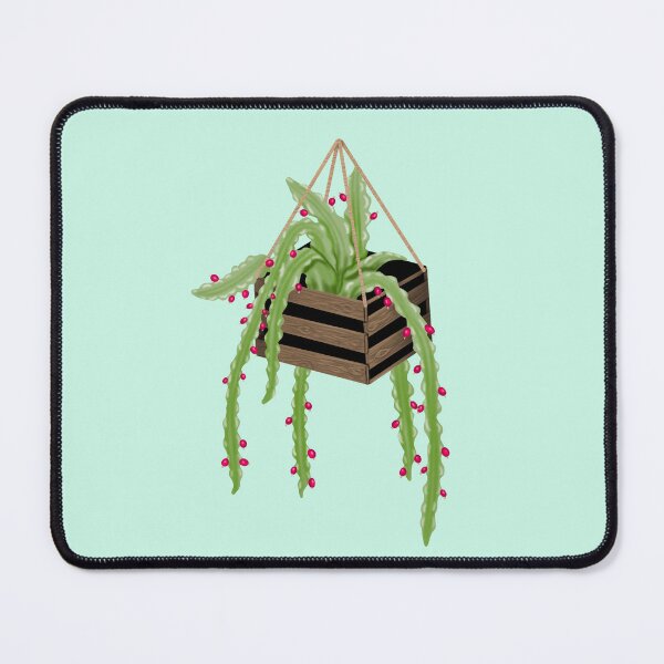 Item preview, A green cactus in a hanging basket, with small pink fruits designed and sold by katecheerycake.