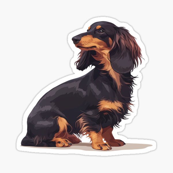 Item preview, Long-Haired Dachshund designed and sold by SMARTKIT  DESIGNAGENCY.