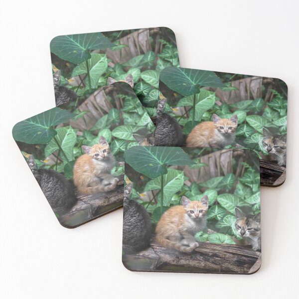 Item preview, cats on the trunk of the banana tree. designed and sold by Nino rocha fotografia.