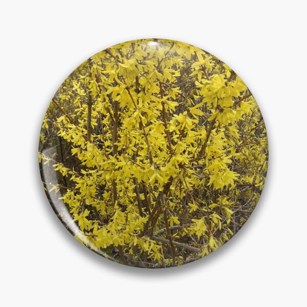 Item preview, Forsythia  designed and sold by Amanda1775.