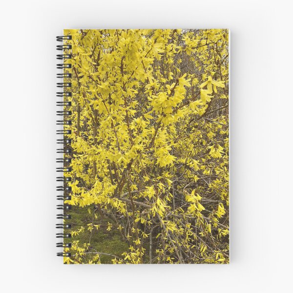 Item preview, Forsythia  designed and sold by Amanda1775.