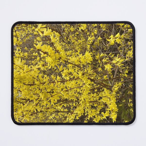 Item preview, Forsythia  designed and sold by Amanda1775.