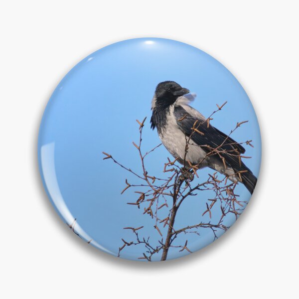 Item preview, Windy on the top. Hooded crow designed and sold by Jouko Lehto Photography.