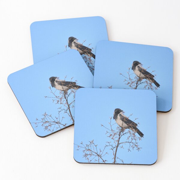 Item preview, Windy on the top. Hooded crow designed and sold by Jouko Lehto Photography.