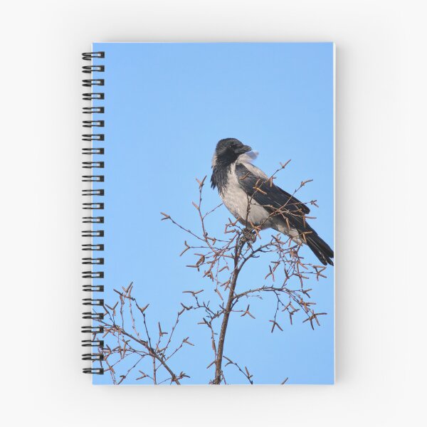Item preview, Windy on the top. Hooded crow designed and sold by Jouko Lehto Photography.