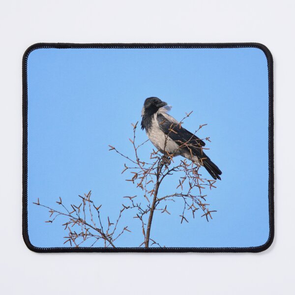 Item preview, Windy on the top. Hooded crow designed and sold by Jouko Lehto Photography.