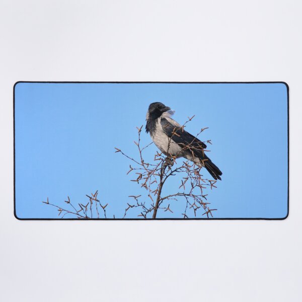 Item preview, Windy on the top. Hooded crow designed and sold by Jouko Lehto Photography.