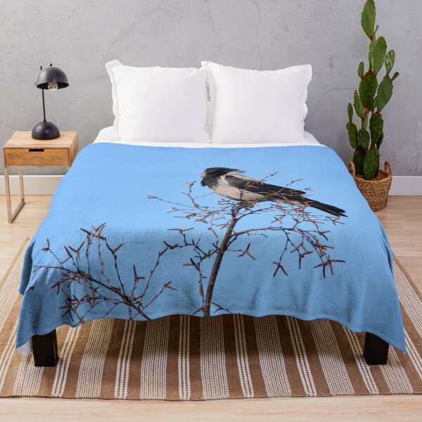 Item preview, Windy on the top. Hooded crow designed and sold by Jouko Lehto Photography.