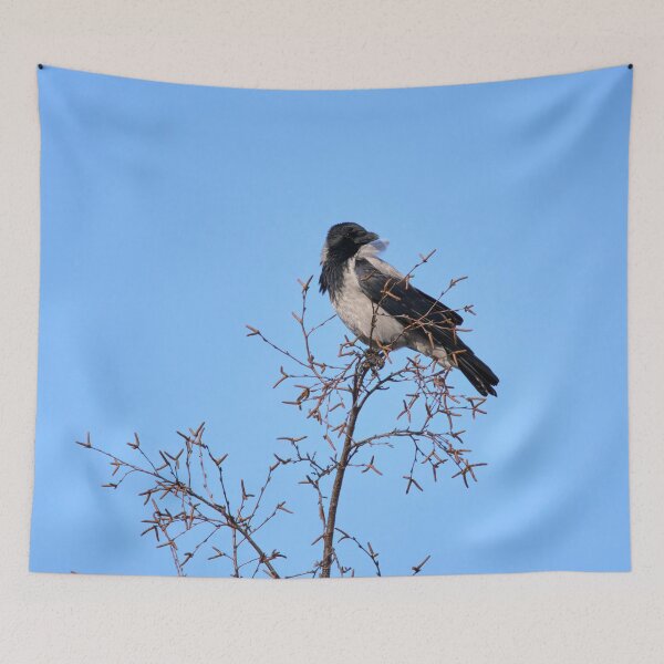 Item preview, Windy on the top. Hooded crow designed and sold by Jouko Lehto Photography.