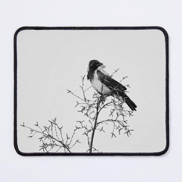 Item preview, Windy on the top. Hooded crow bw designed and sold by Jouko Lehto Photography.