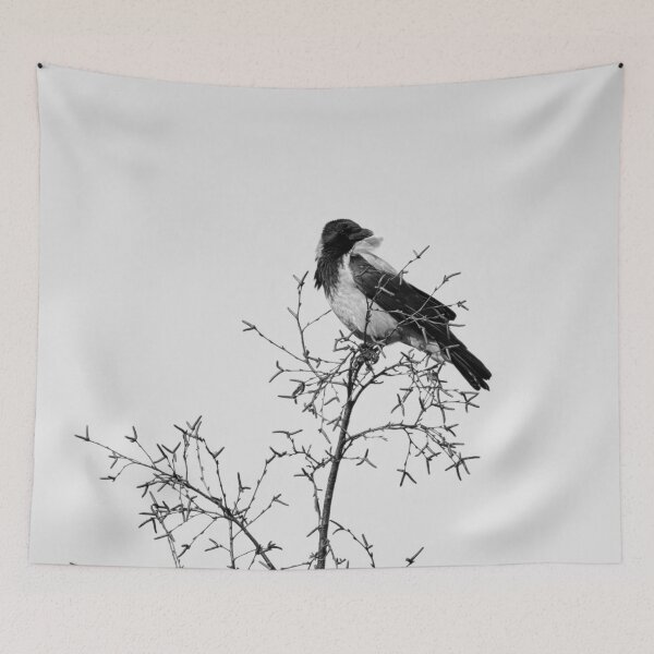 Item preview, Windy on the top. Hooded crow bw designed and sold by Jouko Lehto Photography.