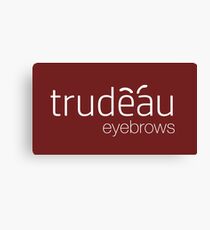 Trudeau Eyebrows Canvas Print