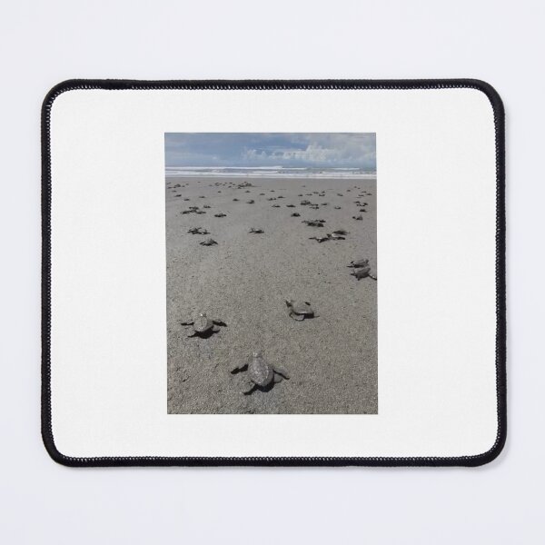 Item preview, Baby Turtle Release designed and sold by Quantum-Life.