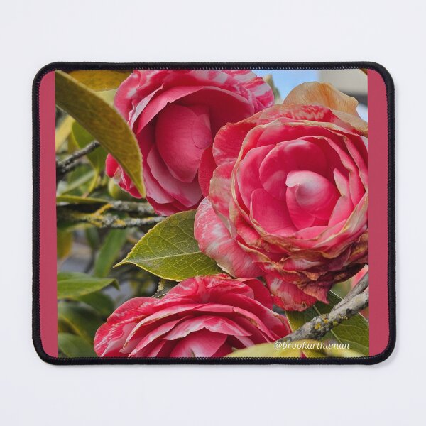 Item preview, Roses are always beautiful designed and sold by DancingCreek.