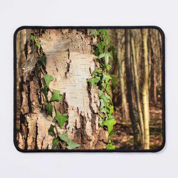 Item preview, Signs of Life designed and sold by Vicki Spindler (VHS Photography).