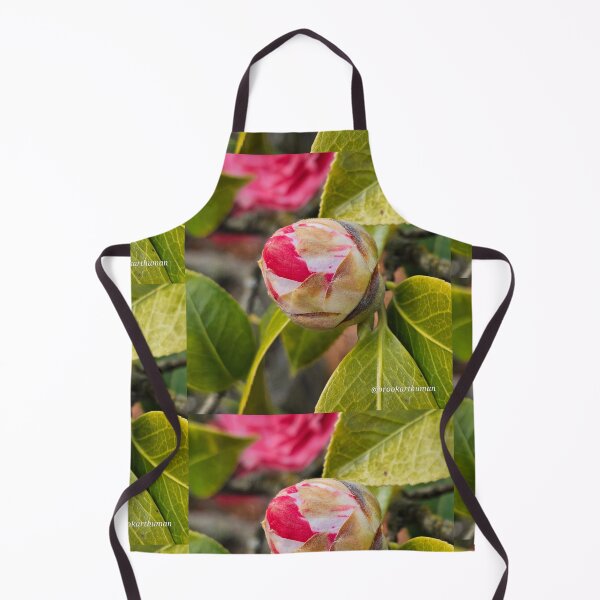 Item preview, Budding pink rose designed and sold by DancingCreek.