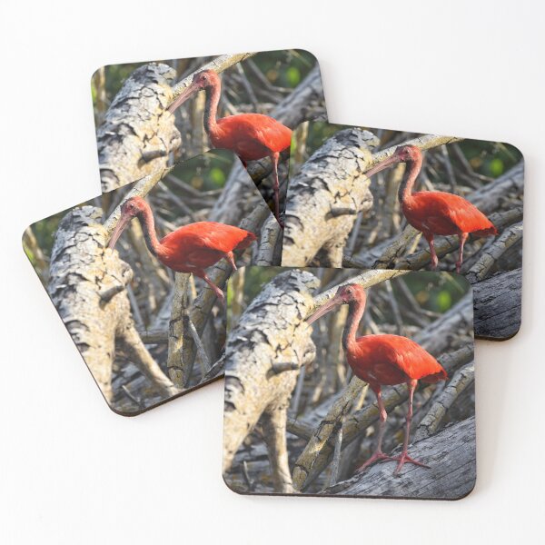 Item preview, Scarlet Ibis or Eudocimus Ruber Birds designed and sold by NandaniBridglal.