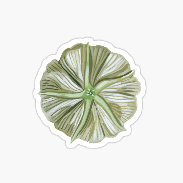 Moonflower Dream Sticker