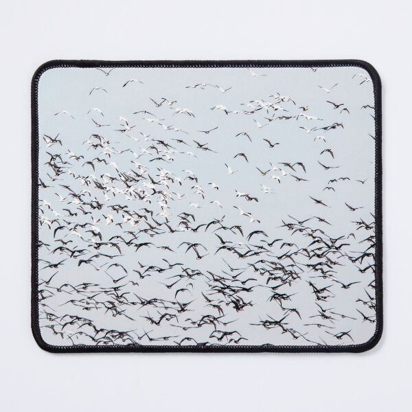 Item preview, Large flock of snow geese flying designed and sold by KRFNatureGifts.
