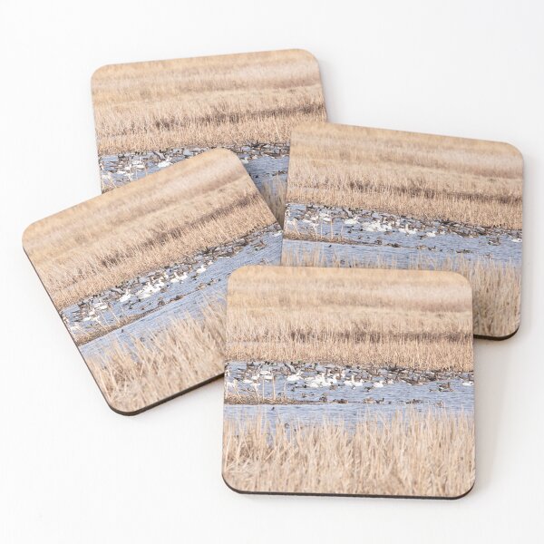Item preview, Snow geese in the wetland designed and sold by KRFNatureGifts.