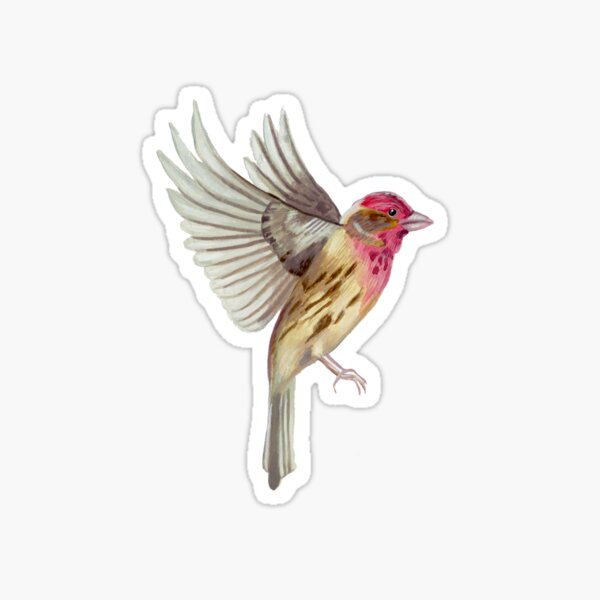 Tulips and Purple Finches Sticker