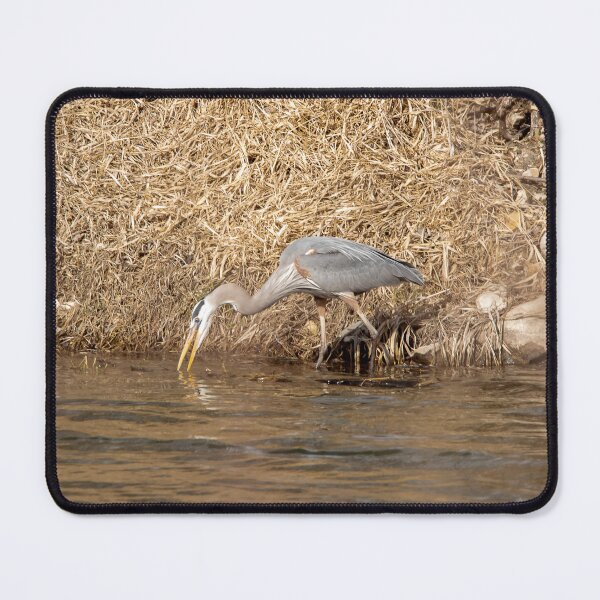 Item preview, Great blue heron fishing in the water designed and sold by KRFNatureGifts.