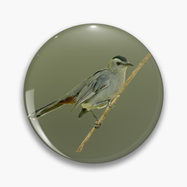 Item preview, Catbird perched on a branch designed and sold by KRFNatureGifts.