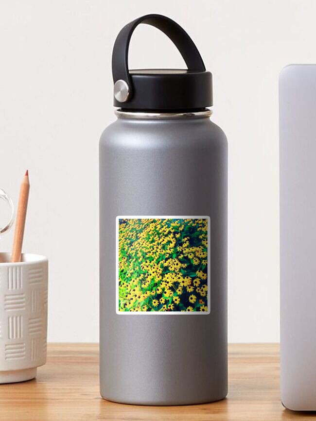 Thumbnail 1 of 3, Sticker, Field of Black Eyed Susans designed and sold by OneDayArt.